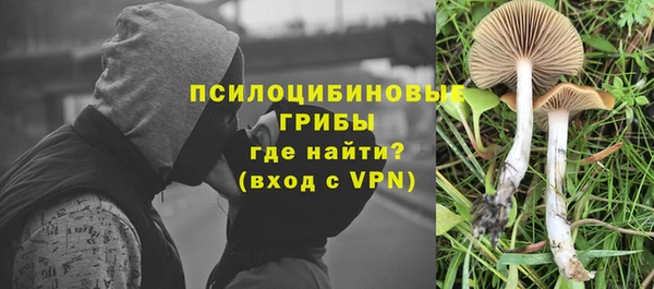 стаф Алексеевка
