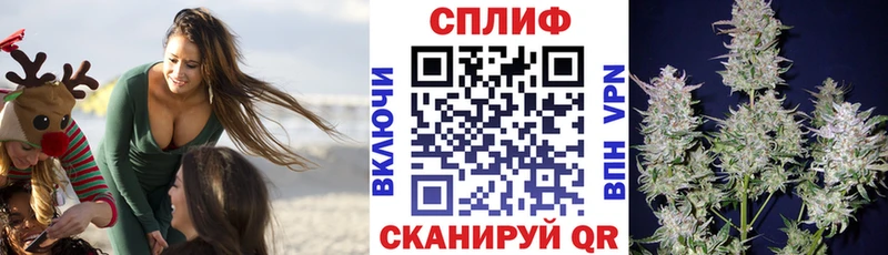 Марихуана семена  купить наркотики сайты  Орлов 